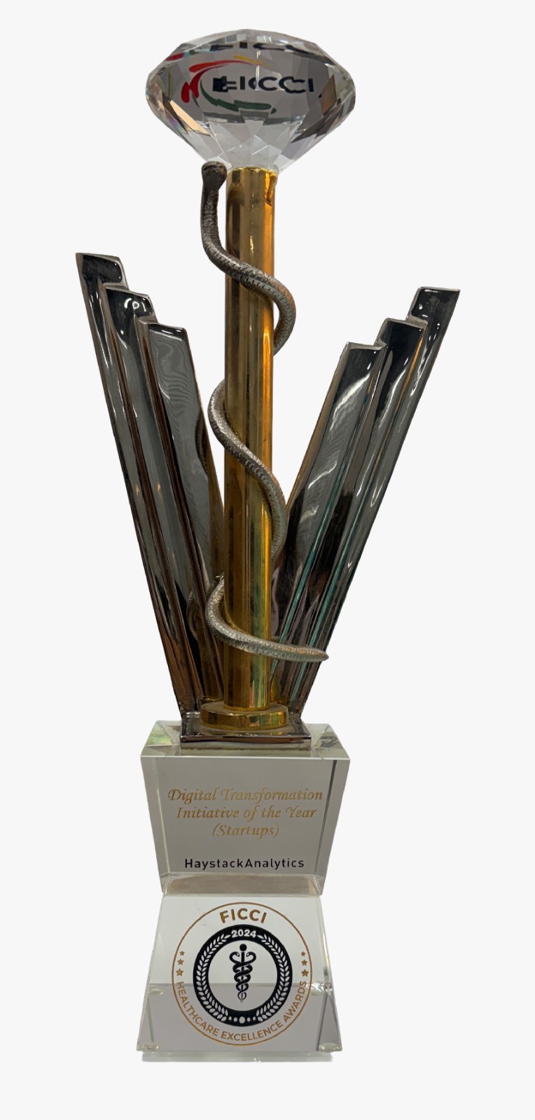 Healthcare Excellence Awards 2024