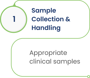 Sample Collection & Handling